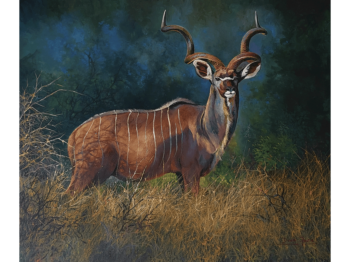 'Kudu Bull' - Dawie Fourie