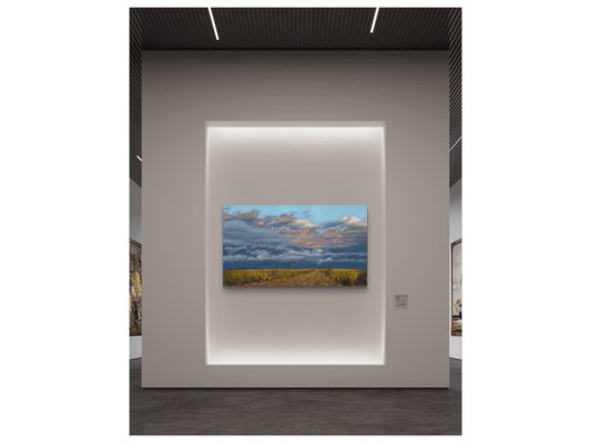 'De Hoop Nature Reserve' - Phyllida Louw