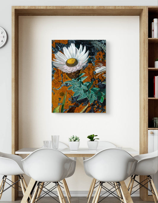 'Helichrysum on Lichen Rock' - Phylida Louw