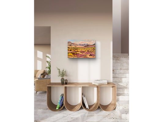 'Springtime near Springbok' - James Yates