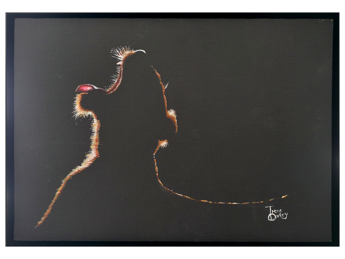 'Dawn Break' - Irene Oxley