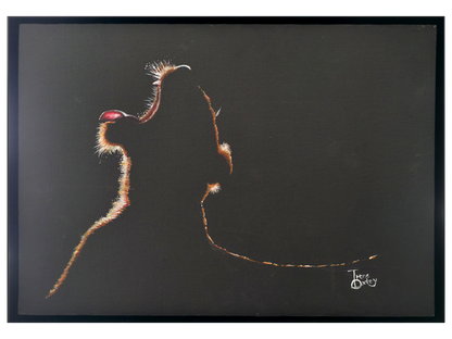 'Dawn Break' - Irene Oxley