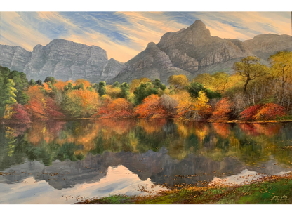 'Autumn reflections in the Newlands forest' - James Yates