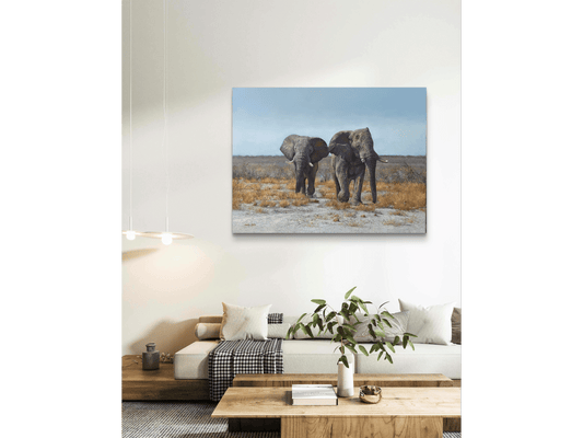 'Etosha Elephants' - Dawie Fourie