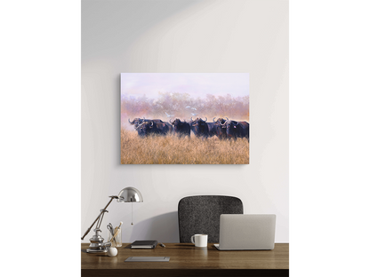 'God's Cattle' - Dawie Fourie