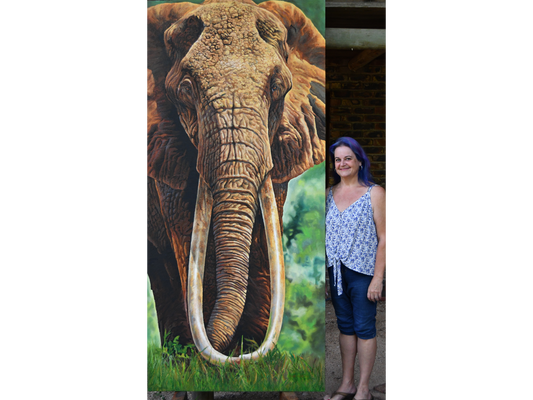 'Dida' - Sannette Boshoff