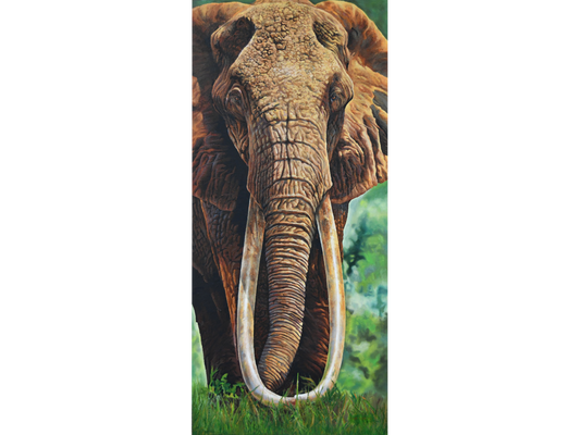 Monumental textured acrylic painting 'Dida' by Sannette Boshoff, 240 cm x 120 cm. A detailed close-up of an elephant with long tusks and wrinkled skin.