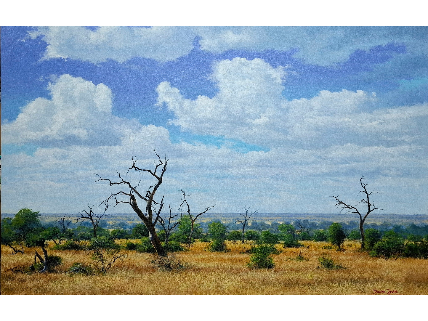 'Bushveld near Satara' - Dawie Fourie
