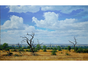 'Bushveld near Satara' - Dawie Fourie