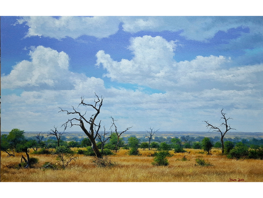 'Bushveld near Satara' - Dawie Fourie