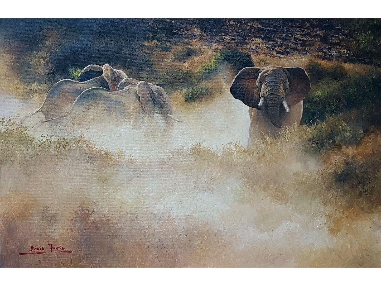 'Elephants in the dust' - Dawie Fourie