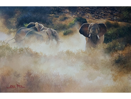 'Elephants in the dust' - Dawie Fourie