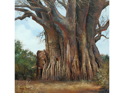 'Baobab' - Dawie Fourie
