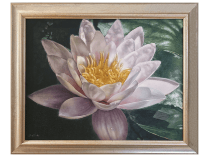 'Nymphaea Capensus' - Phyllida Louw