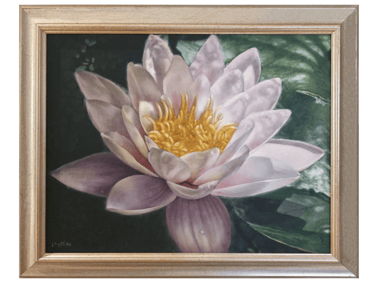 'Nymphaea Capensus' - Phyllida Louw