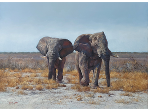 'Etosha Elephants' - Dawie Fourie