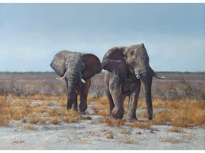 'Etosha Elephants' - Dawie Fourie
