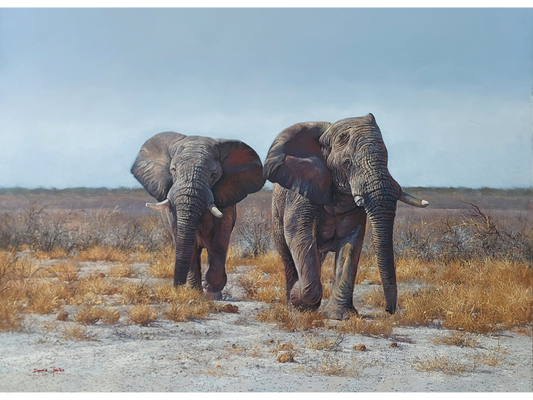 'Etosha Elephants' - Dawie Fourie