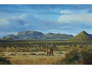 'Samburu, Kenya' - Dawie Fourie