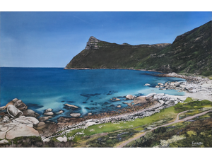 'Taking a swim at Smitswinkels Bay' - Mike Forrester