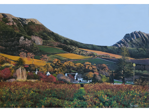 'Klein Constantia' - Mike Forrester