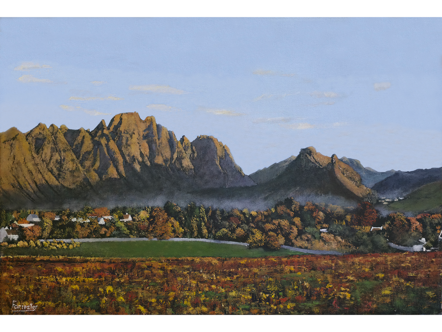 Original oil painting 'Franschhoek Valley' by Mike Forrester, 40 cm x 60 cm. A vast landscape of golden vineyards, a misty tree line, and rugged mountain peaks.