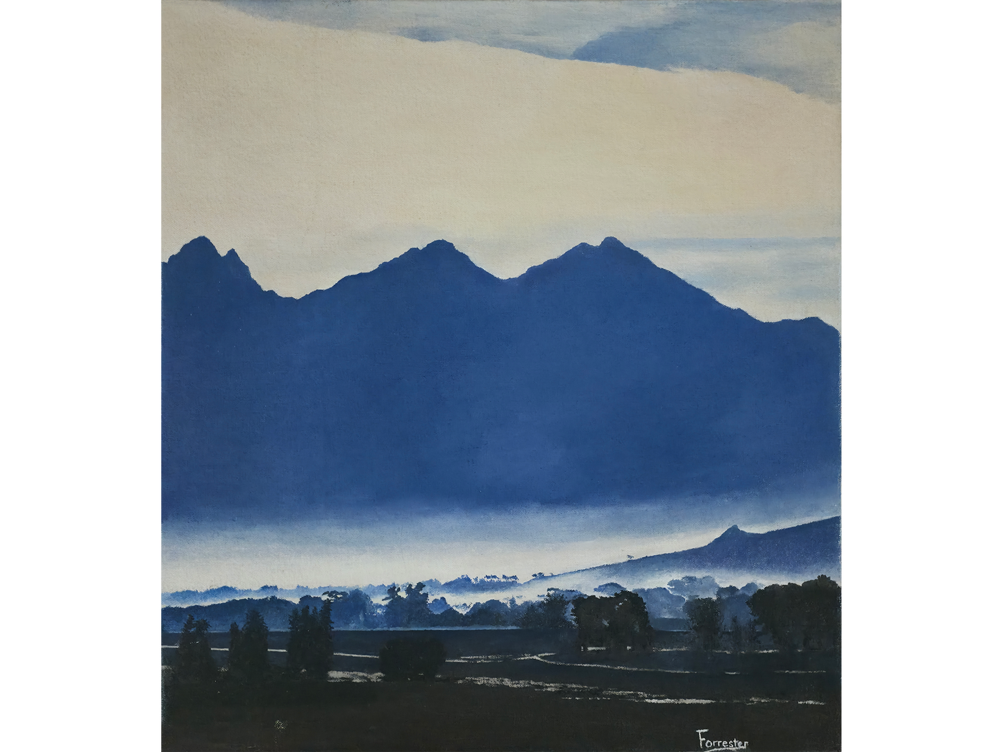 'Early morning mist near Barrydale' - Mike Forrester