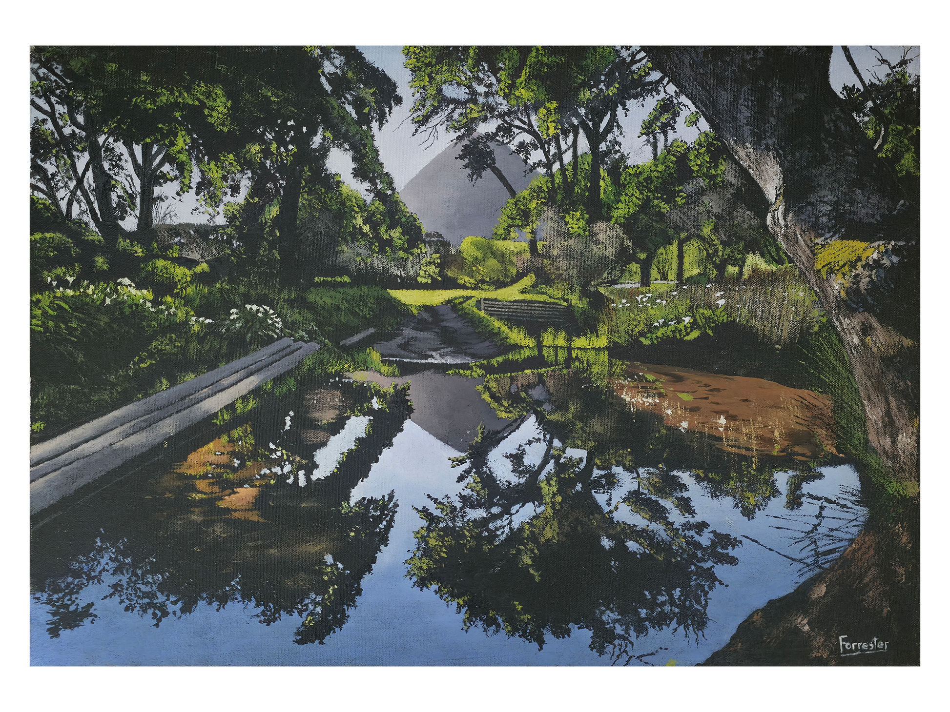 Original oil painting 'Noordhoek Pond reflection' by Mike Forrester, 40 cm x 58 cm. A tranquil forest scene with a mirror-like pond reflecting trees and a distant mountain.