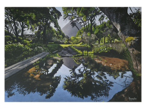 'Noordhoek Pond reflection' - Mike Forrester