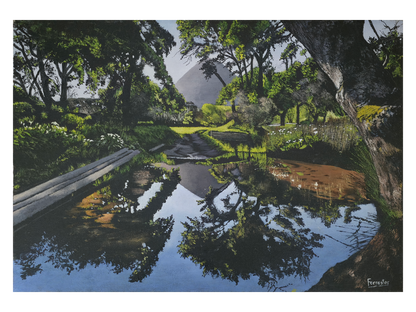Original oil painting 'Noordhoek Pond reflection' by Mike Forrester, 40 cm x 58 cm. A tranquil forest scene with a mirror-like pond reflecting trees and a distant mountain.