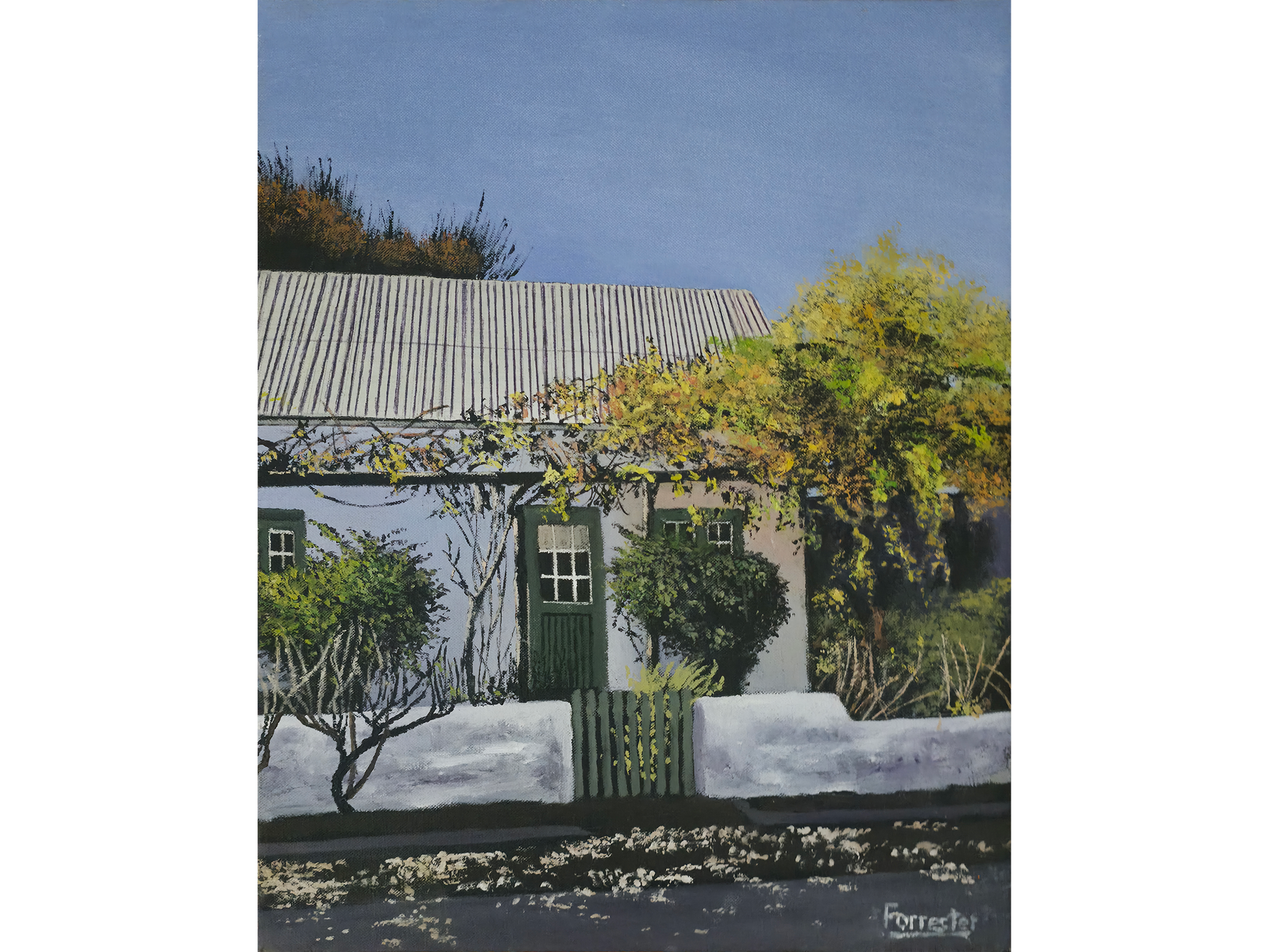Original oil painting 'Cottage in Robertson' by Mike Forrester, 31.5 cm x 24.5 cm. A sunlit white cottage with a green door, corrugated roof, and yellow creepers.