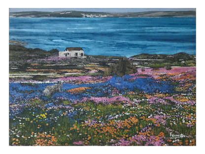 Original oil painting 'Langebaan flowers' by Mike Forrester, 26 cm x 36 cm. A colourful field of orange, blue, and purple wildflowers leading to a white cottage and blue lagoon.