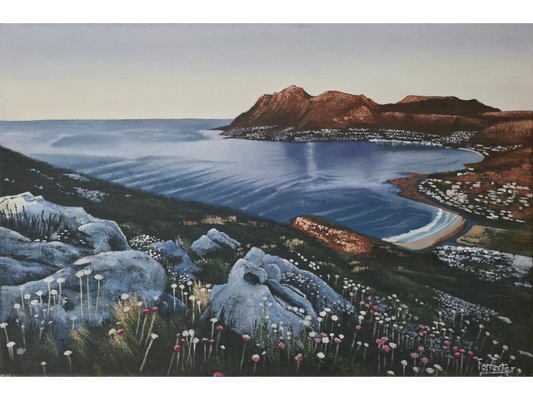Original oil painting 'Glencairn to Simonstown in the late afternoon' by Mike Forrester, 33 cm x 55 cm. A coastal view over fynbos and rocks toward a blue bay and distant mountains.