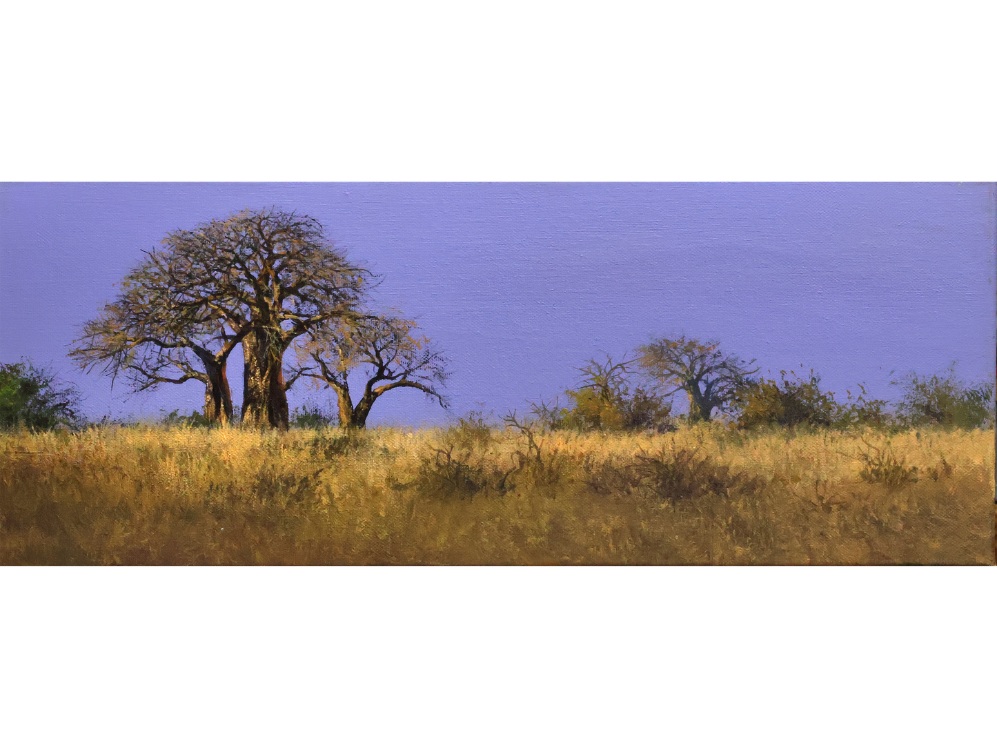 'Baobabs at Dusk' - Dawie Fourie