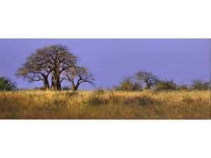 'Baobabs at Dusk' - Dawie Fourie