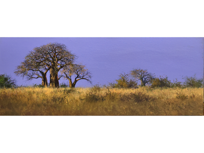'Baobabs at Dusk' - Dawie Fourie
