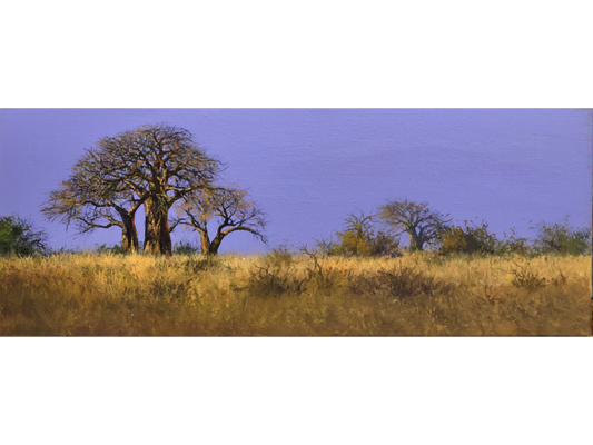 'Baobabs at Dusk' - Dawie Fourie