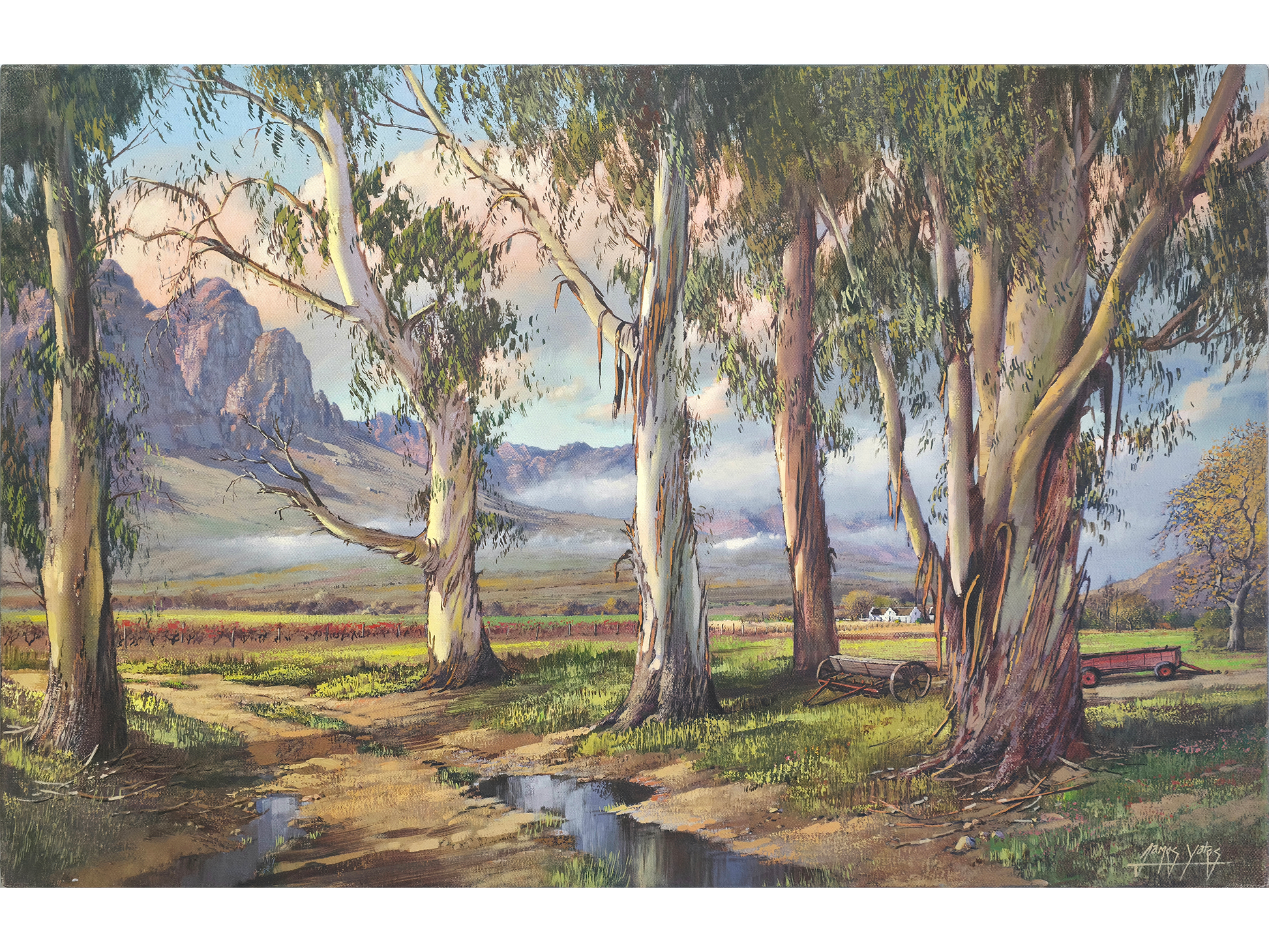 Oil painting of tall eucalyptus trees flanking a muddy farm road with puddles, overlooking vineyards and large rugged mountains under a soft sky.