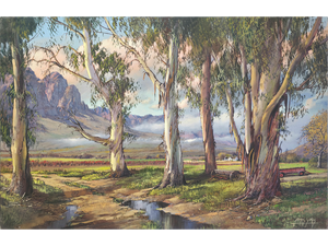 'Eucalyptus trees near Wolseley' - James Yates