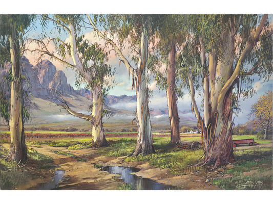 'Eucalyptus trees near Wolseley' - James Yates