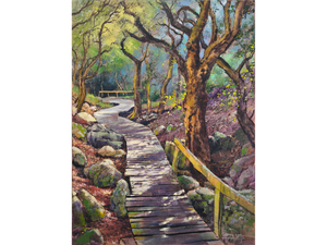 'Spesbona forest, Kalk Bay' - James Yates
