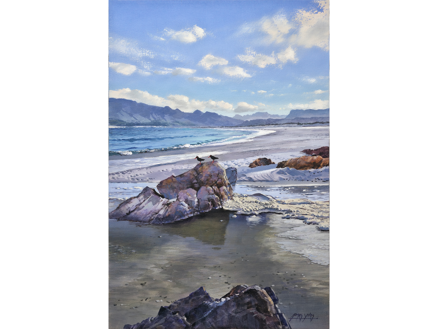 'Oyster Catchers, Kommetjie Beach' - James Yates