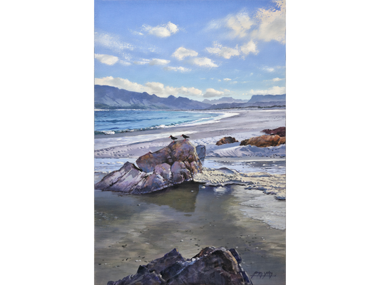 'Oyster Catchers, Kommetjie Beach' - James Yates