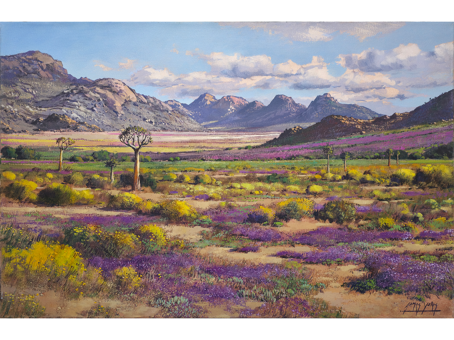'Springtime near Springbok' - James Yates