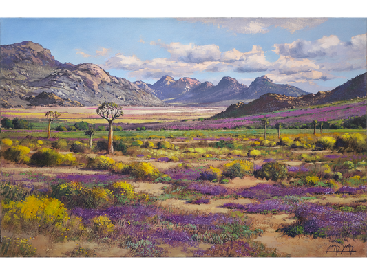 'Springtime near Springbok' - James Yates
