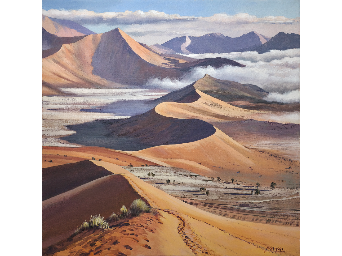 'Sea mist at Sossusvlei, Namibia' - James Yates