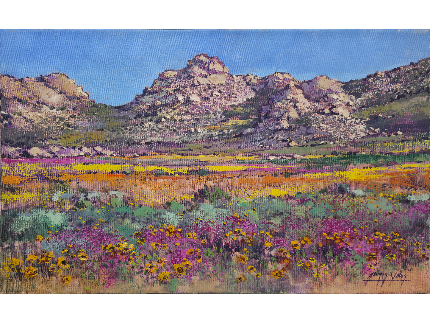 'Springtime near Garies' - James Yates