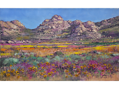 'Springtime near Garies' - James Yates