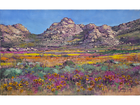 'Springtime near Garies' - James Yates