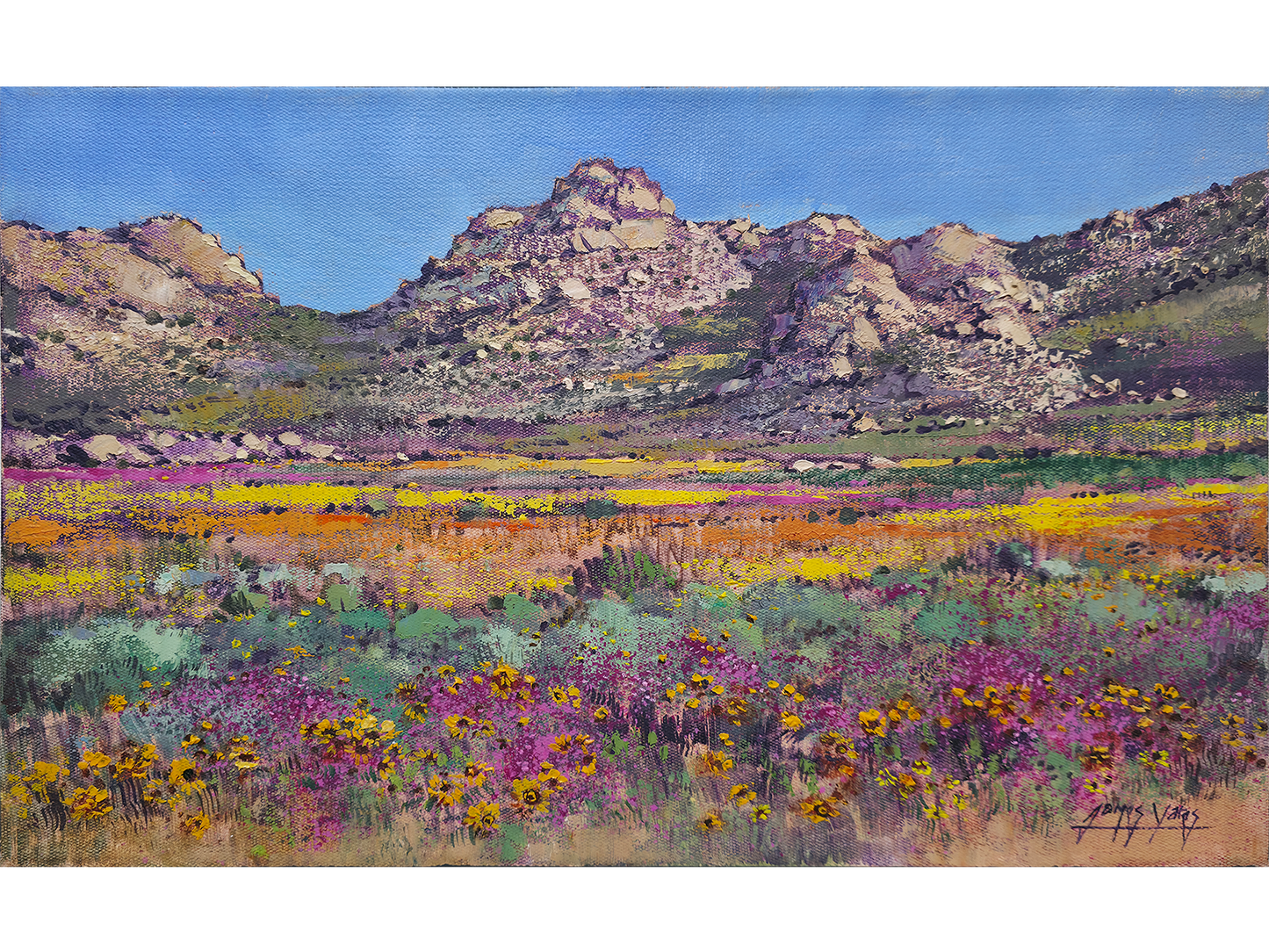 'Springtime near Garies' - James Yates